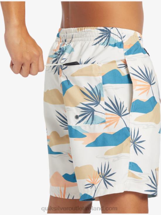 Men Quiksilver Everyday Mix 17 Volleys N02TD678 birch
