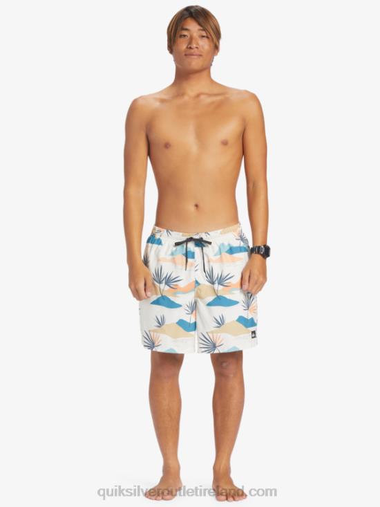 Men Quiksilver Everyday Mix 17 Volleys N02TD678 birch
