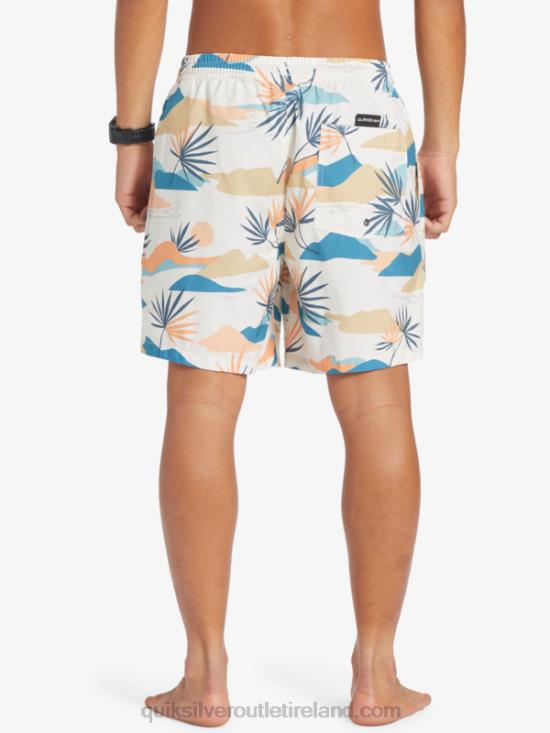 Men Quiksilver Everyday Mix 17 Volleys N02TD678 birch