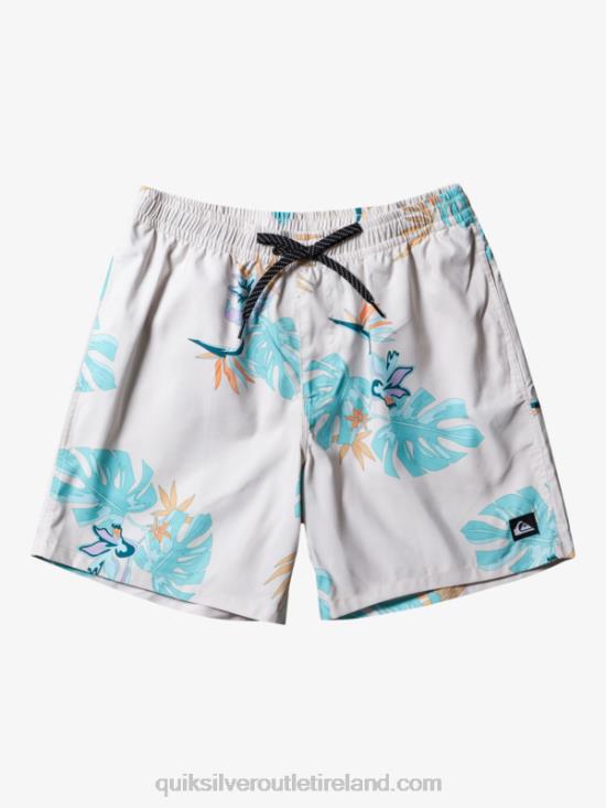 Men Quiksilver Everyday Mix 17 Volleys N02TD679 white