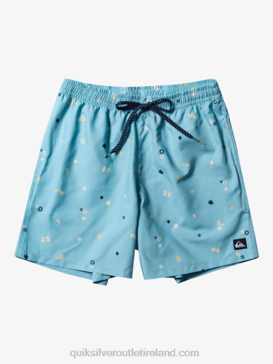 Men Quiksilver Everyday Mix 17 Volleys N02TD680 celestial blue