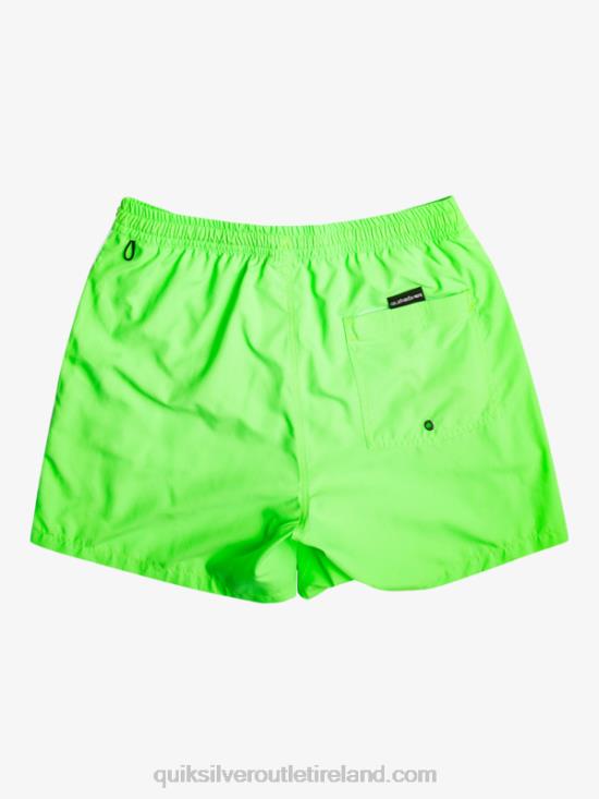 Men Quiksilver Everyday Vert 16 Volleys N02TD696 green gecko