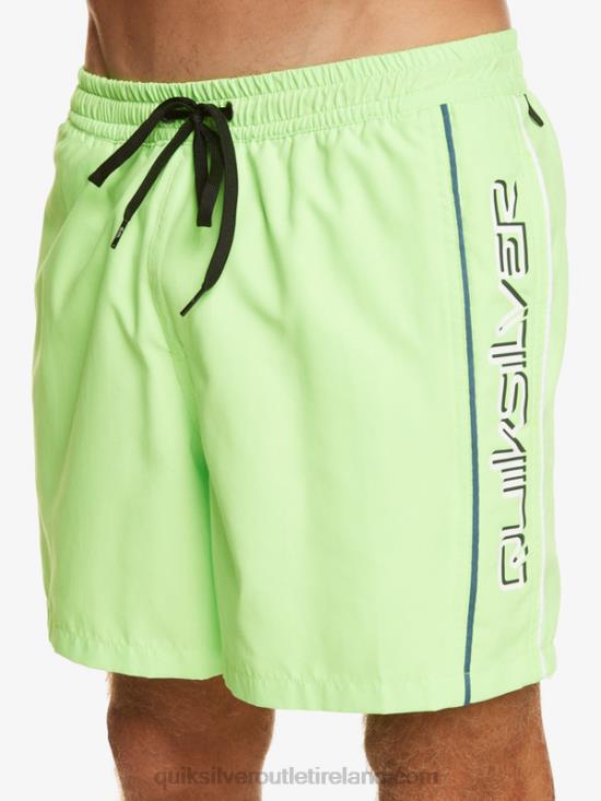 Men Quiksilver Everyday Vert 16 Volleys N02TD696 green gecko