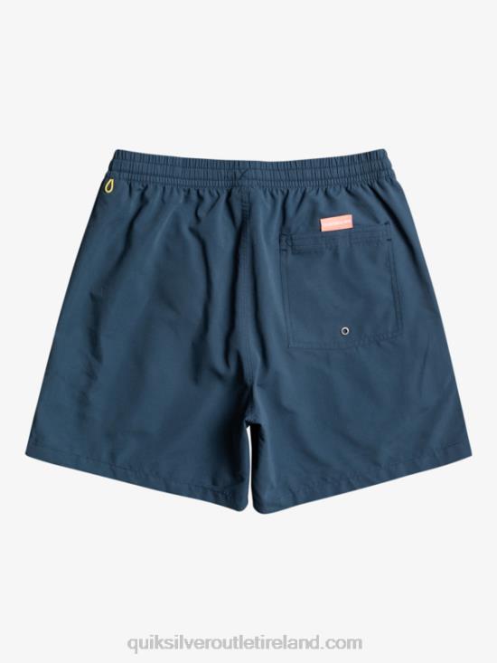 Men Quiksilver Everyday Vert 16 Volleys N02TD699 midnight navy