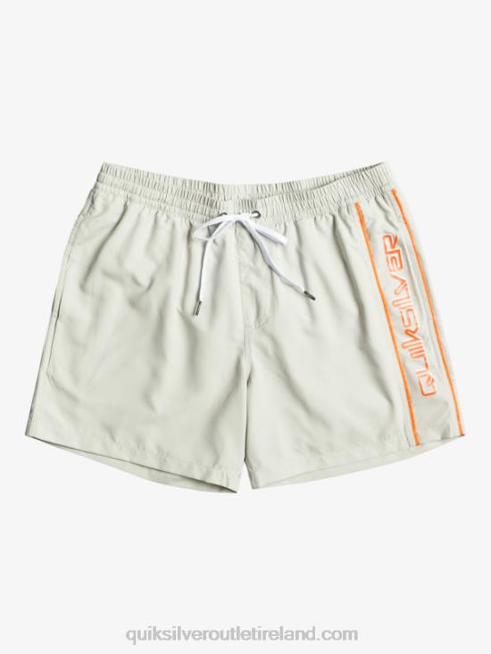 Men Quiksilver Everyday Vert 16 Volleys N02TD700 gray violet