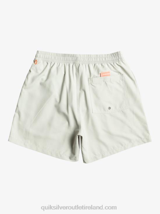 Men Quiksilver Everyday Vert 16 Volleys N02TD700 gray violet