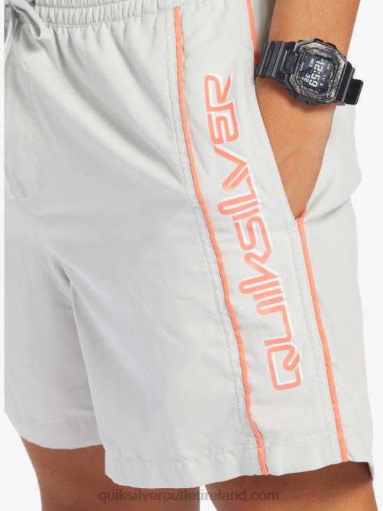 Men Quiksilver Everyday Vert 16 Volleys N02TD700 gray violet