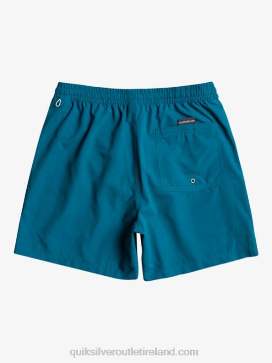 Men Quiksilver Everyday Vert 16 Volleys N02TD701 moroccan blue