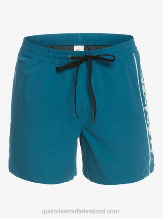 Men Quiksilver Everyday Vert 16 Volleys N02TD701 moroccan blue