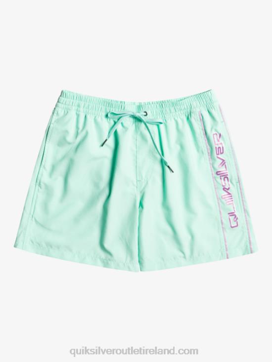 Men Quiksilver Everyday Vert 16 Volleys N02TD702 beach glass