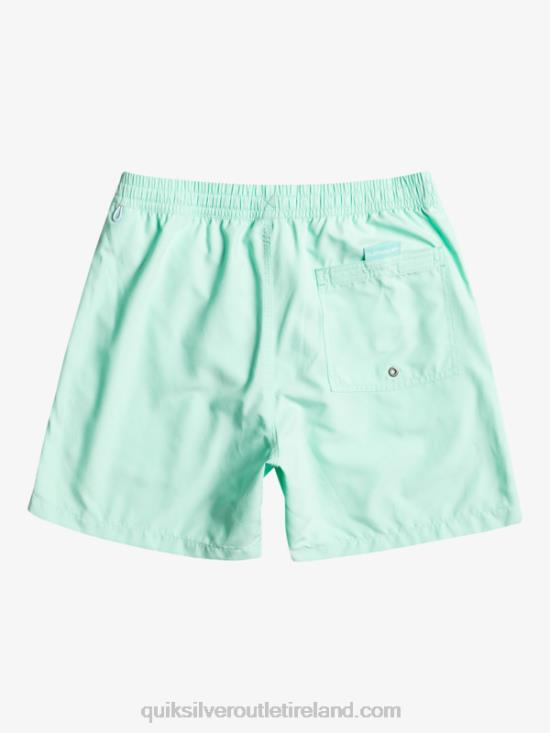 Men Quiksilver Everyday Vert 16 Volleys N02TD702 beach glass