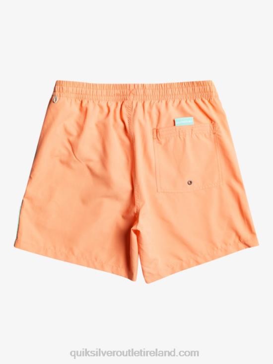 Men Quiksilver Everyday Vert 16 Volleys N02TD703 fresh salmon