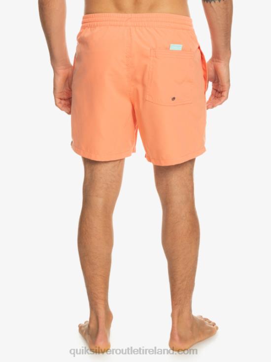 Men Quiksilver Everyday Vert 16 Volleys N02TD703 fresh salmon