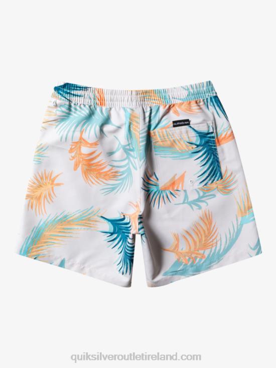 Men Quiksilver Re-Mix 17 Volleys N02TD355 birch