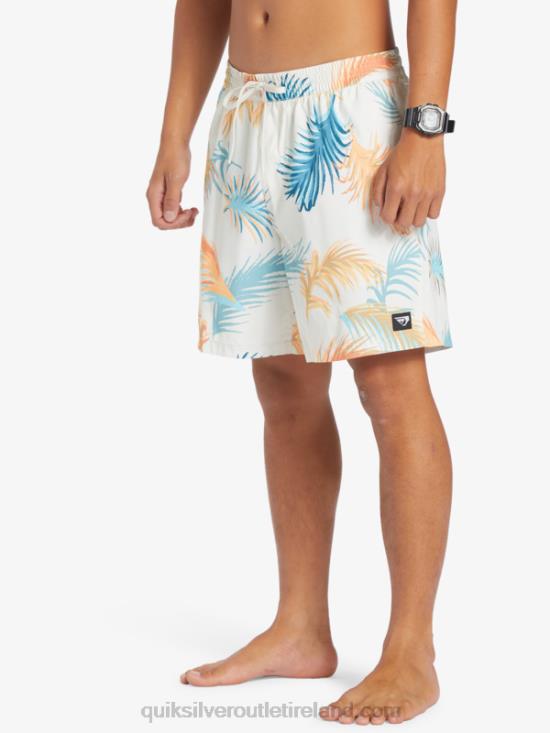 Men Quiksilver Re-Mix 17 Volleys N02TD355 birch