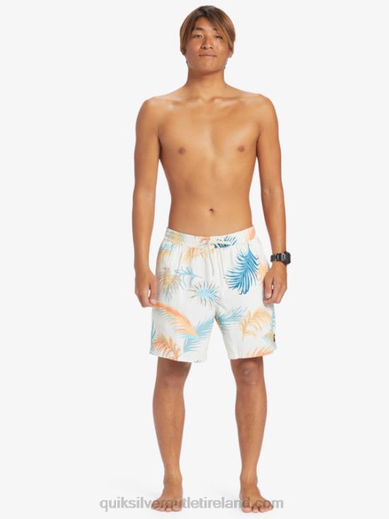 Men Quiksilver Re-Mix 17 Volleys N02TD355 birch