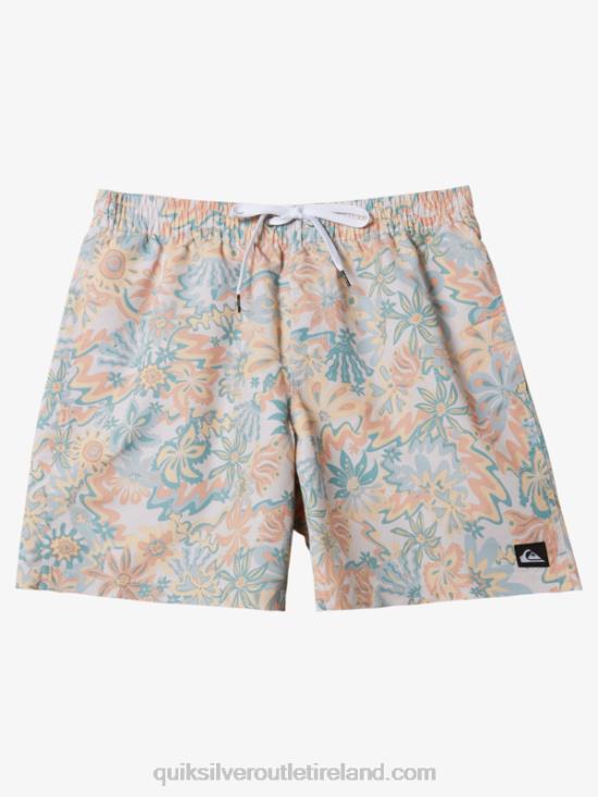 Men Quiksilver Re-Mix 17 Volleys N02TD357 birch
