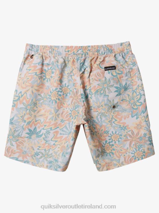 Men Quiksilver Re-Mix 17 Volleys N02TD357 birch