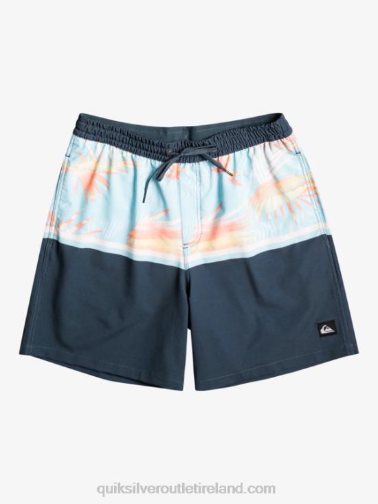 Men Quiksilver Surfsilk Division 17 Volleys N02TD1636 midnight navy