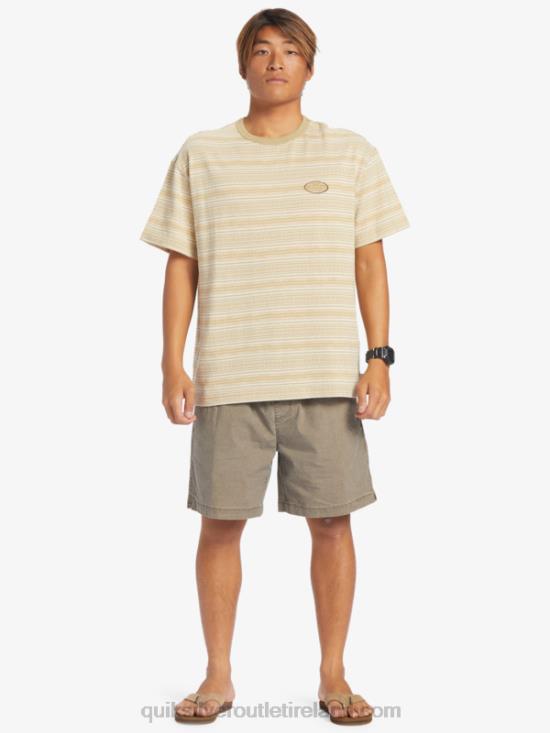 Men Quiksilver Taxer Elasticized Shorts N02TD322 chocolate chip
