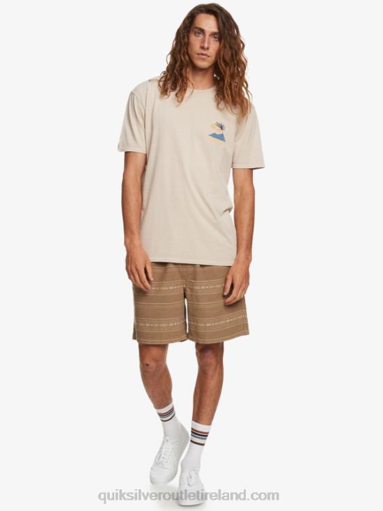 Men Quiksilver Taxer Jacquard Shorts N02TD421 olive gray mini jacquard