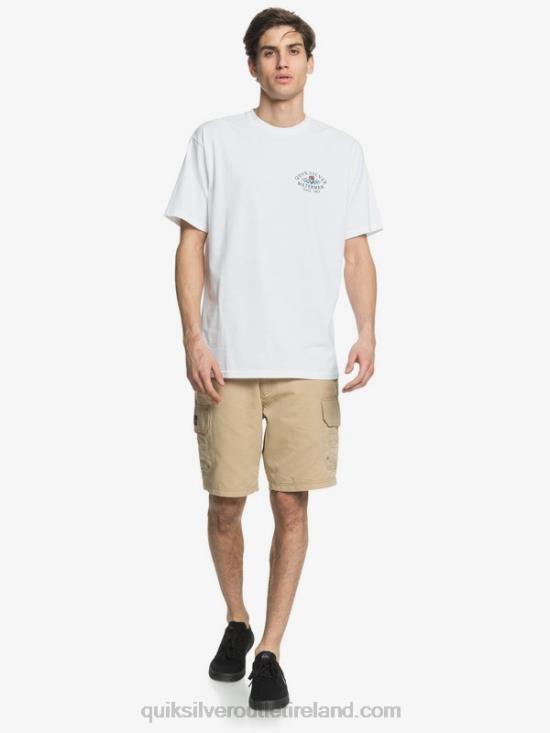 Men Quiksilver Waterman Maldive 20 Cargo Shorts N02TD1729 incense