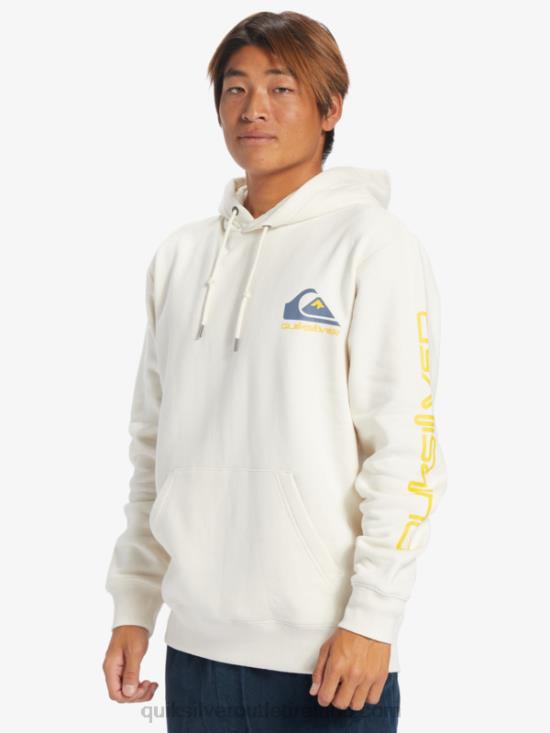 Men Quiksilver Omni Logo Hoodie N02TD642 birch