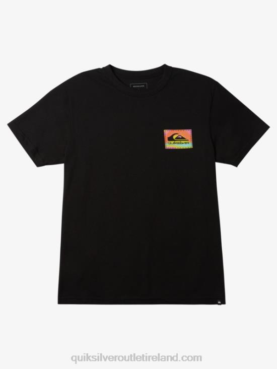 Men Quiksilver Color Flow T-shirt N02TD1204 black