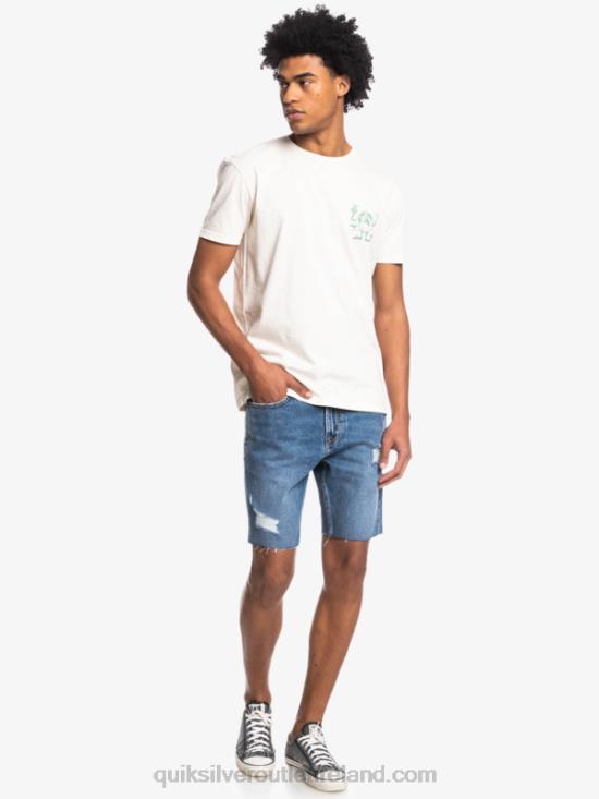 Men Quiksilver Hidden Message T-Shirt N02TD1762 birch