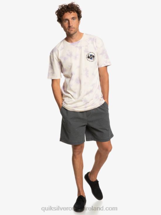 Men Quiksilver Omni Circle T-Shirt N02TD1071 birch