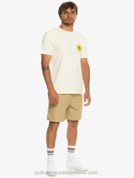 Men Quiksilver Planet Positive T-Shirt N02TD1340 birch