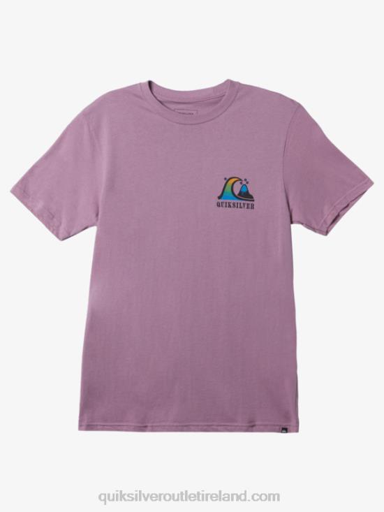 Men Quiksilver River Bend T-Shirt N02TD1516 dusty orchid
