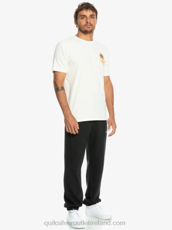 Men Quiksilver Sun Bloom T-Shirt N02TD1020 birch