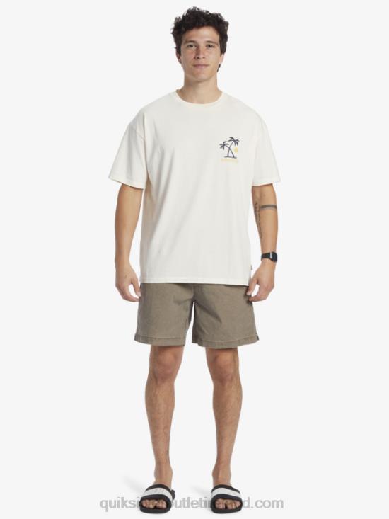Men Quiksilver Sunset Rituals T-Shirt N02TD391 birch