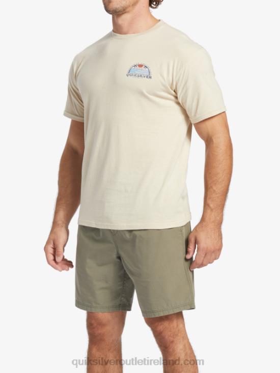 Men Quiksilver Waterman Set View T-Shirt N02TD38 brown rice