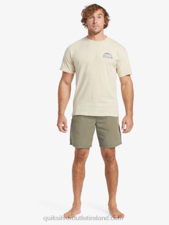 Men Quiksilver Waterman Set View T-Shirt N02TD38 brown rice