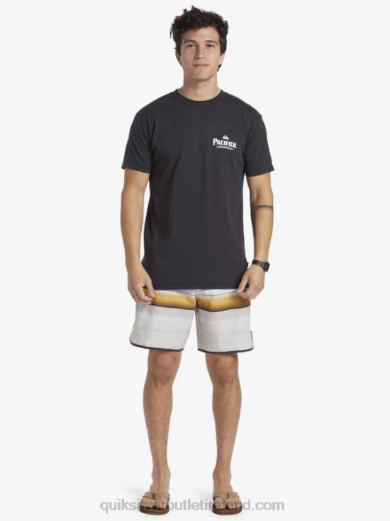 Men Quiksilver x Pacifico Scenic Vibes T-Shirt N02TD10 tarmac