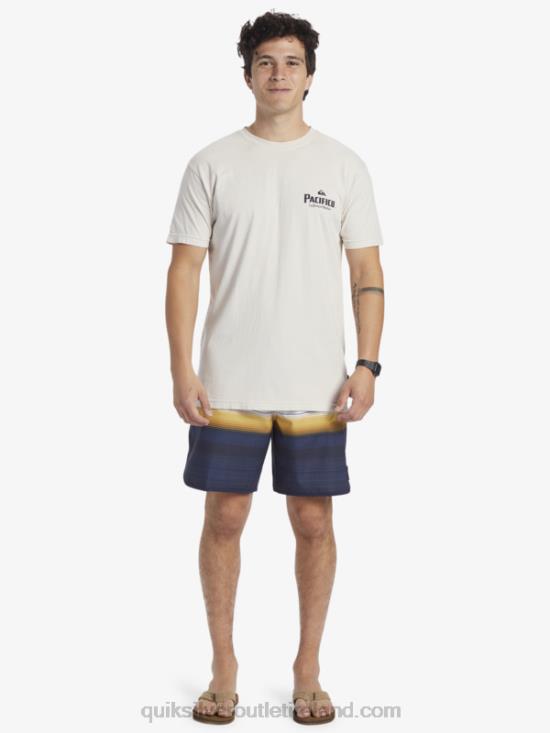 Men Quiksilver x Pacifico Scenic Vibes T-Shirt N02TD9 stone