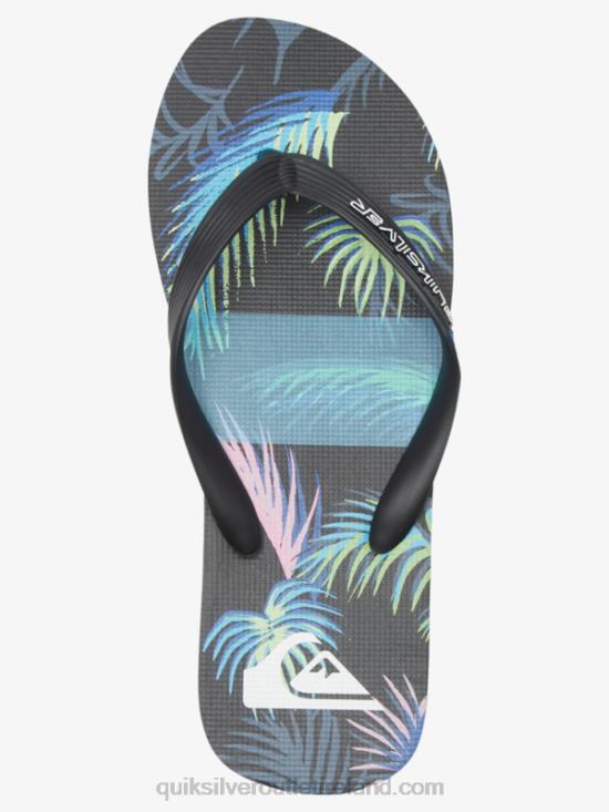 Men Quiksilver Molokai Art Flip-Flops N02TD517 black/blue