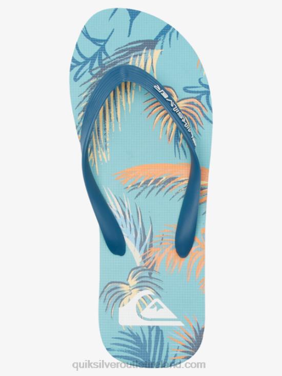 Men Quiksilver Molokai Art Flip-Flops N02TD519 blue/black/yellow