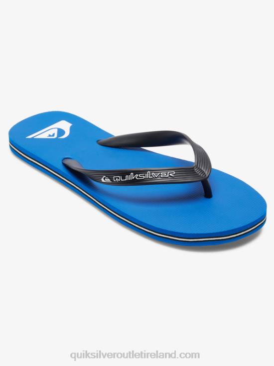 Men Quiksilver Molokai Core Flip-Flops N02TD593 blue 1