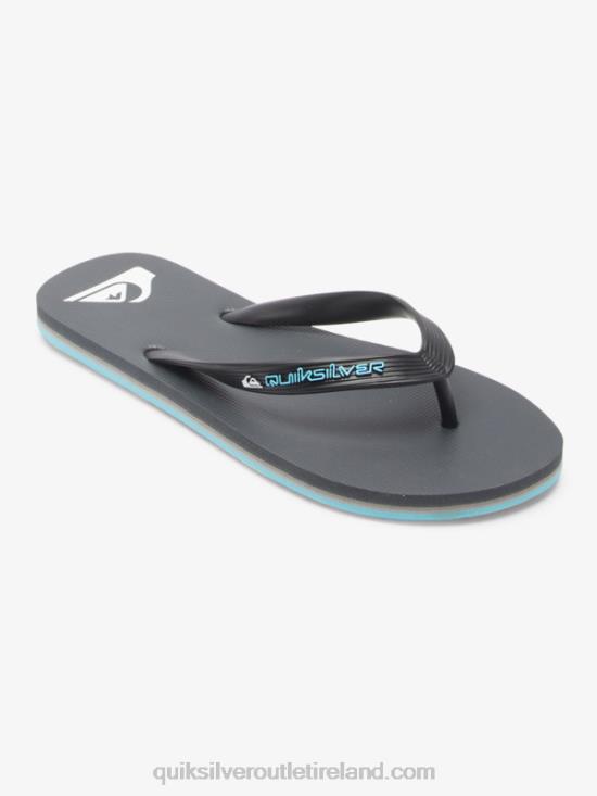 Men Quiksilver Molokai Core Flip-Flops N02TD594 grey 4