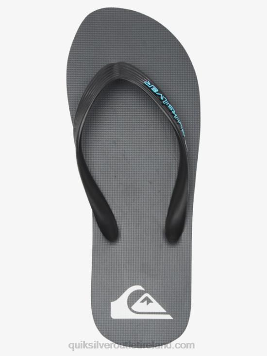 Men Quiksilver Molokai Core Flip-Flops N02TD594 grey 4