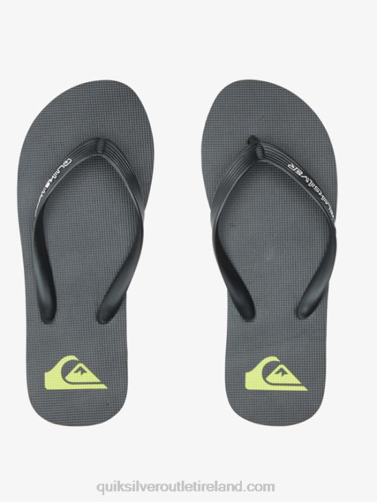 Men Quiksilver Molokai Core Flip-Flops N02TD595 black