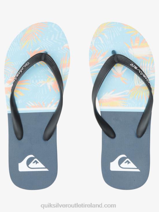 Men Quiksilver Molokai Division Flip Flops N02TD1638 blue 1