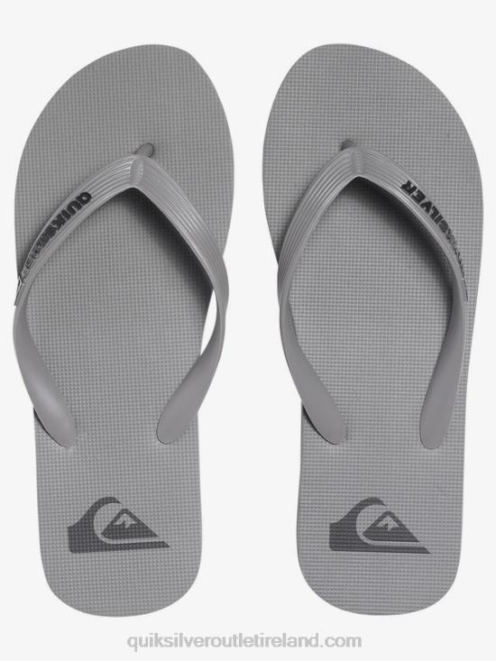 Men Quiksilver Molokai Flip-Flops N02TD1590 grey