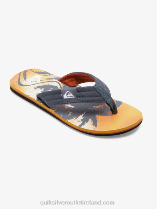 Men Quiksilver Molokai Layback Sandals N02TD493 grey 1