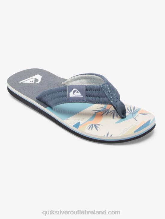 Men Quiksilver Molokai Layback Sandals N02TD494 grey/white