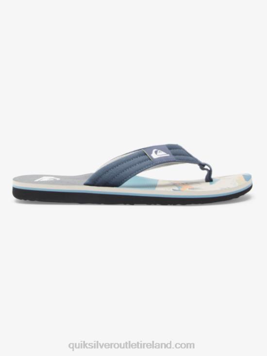 Men Quiksilver Molokai Layback Sandals N02TD494 grey/white
