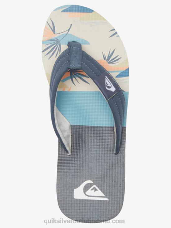 Men Quiksilver Molokai Layback Sandals N02TD494 grey/white